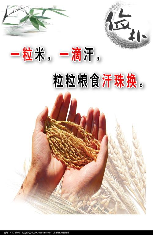 假大学毕业证